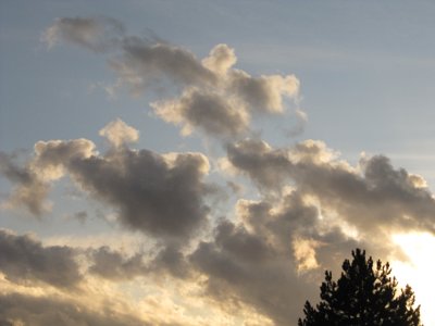 Seule ombre au tableau_4389561913_l.jpg